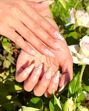 Heirloom Petals