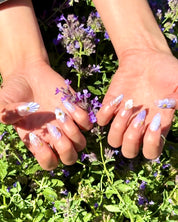 Lilac Tide
