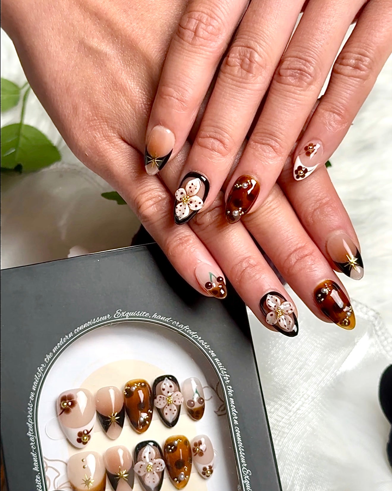Cocoa Bloom