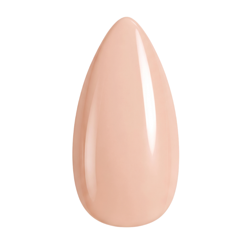 <h4>ALMOND</h4>